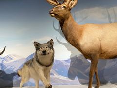 -陕西自然博物馆