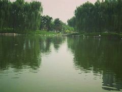 -望湖公园