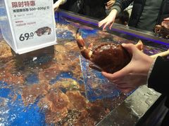 -盒马鲜生(财富中心店)