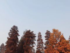 -东湖磨山景区