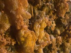 -琶醍壹号•潮菜江景餐吧