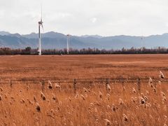 -野鸭湖国家湿地公园