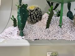 -米仓食堂(凯德广场店)