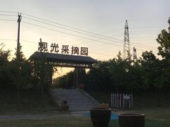 -淄博花灯齐彩城