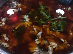 -重庆乌鱼庄·龙滋鲜(青羊大道店)