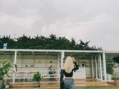 -海岛日记(养马岛店)