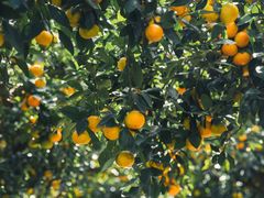 -滨江森林公园-真人CS野战场