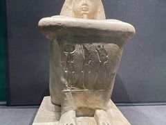 -遇见博物馆(遇见海洋沉浸式奇幻光影展)