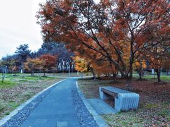 -石湖景区