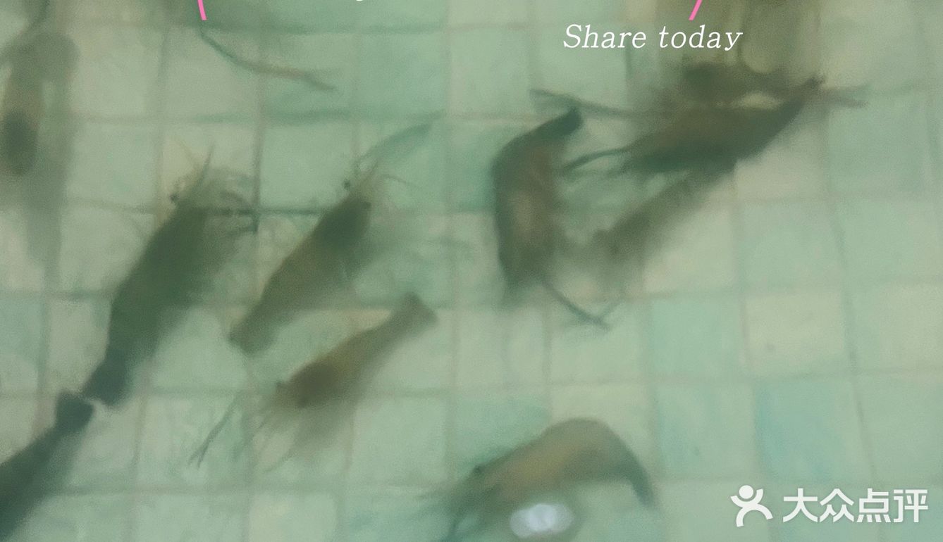 天气这么热，这个1元的快乐，你们有没有上车？