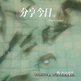 天气这么热，这个1元的快乐，你们有没有上车？