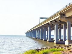 -宝安西湾红树林湿地公园
