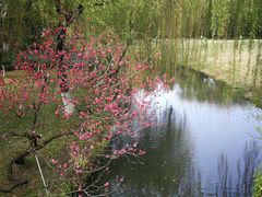 -柳浪闻莺公园