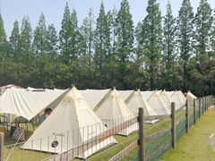 -前小桔亲子创意农场·草莓采摘·露营烧烤