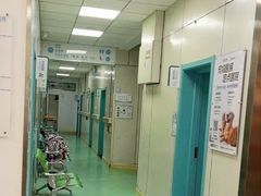 -北京观赏动物医院·24小时大型综合·猫专科·异宠专科