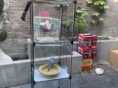 -毛辣果·贵州红酸汤牛肉火锅(西单店)