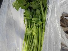 -大自然农场蔬菜草莓采摘园