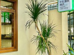 -流酥可心·牛乳蛋糕商店(禾祥西路店)