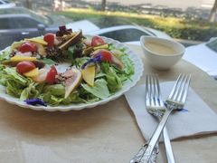 -伊斯坦布尔土耳其清真咖啡餐厅