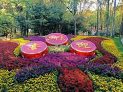 -上海共青森林公园