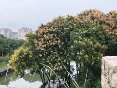 -东水关遗址公园