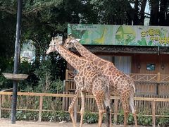 -广州长隆野生动物世界