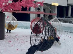 -沈阳奥体冰雪嘉年华