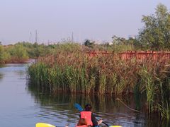 -芒洲湿地公园