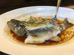 -百灵希尔顿逸林酒店·逸林轩中餐厅