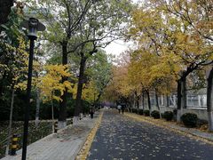 -山东师范大学(千佛山校区)