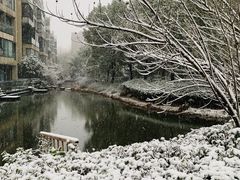 -天鹅湖体育公园