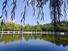 -大连植物园