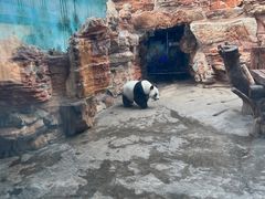 -石家庄市动物园