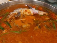 -新凯里酸汤鱼(飞山街店)