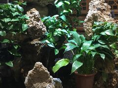 大堂-院落创意菜