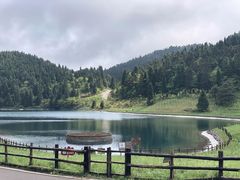 -武陵山森林公园