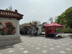 -洛阳白马寺