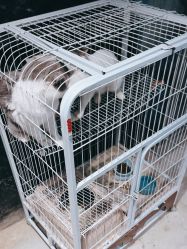 -酷嗒动物文化乐园(cutezoo西溪乐天城店)