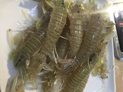 -海大大蒸汽海鲜餐厅·粤菜·特色小炒(欢乐颂店)