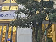 -湖锦酒楼·旗舰店(三阳总店)