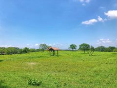 -良渚古城遗址公园