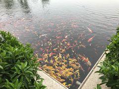 -南通滨江洲际酒店-东厨中餐厅