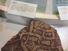 -中国第四纪冰川遗迹陈列馆