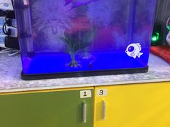 -严国平动物医院(德政总院)