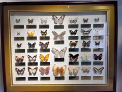 -上海昆虫博物馆