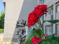 -山东师范大学(千佛山校区)