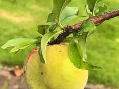 -上海市龙华烈士陵园