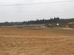 -紫颐香薰山谷景区