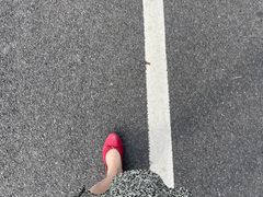-红花山公园