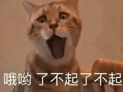 -万盛园炖肉馆(云峰店)